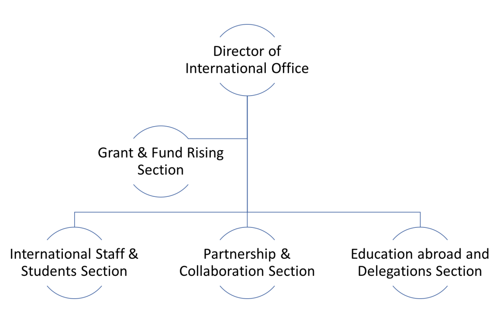 International-Office-Structure